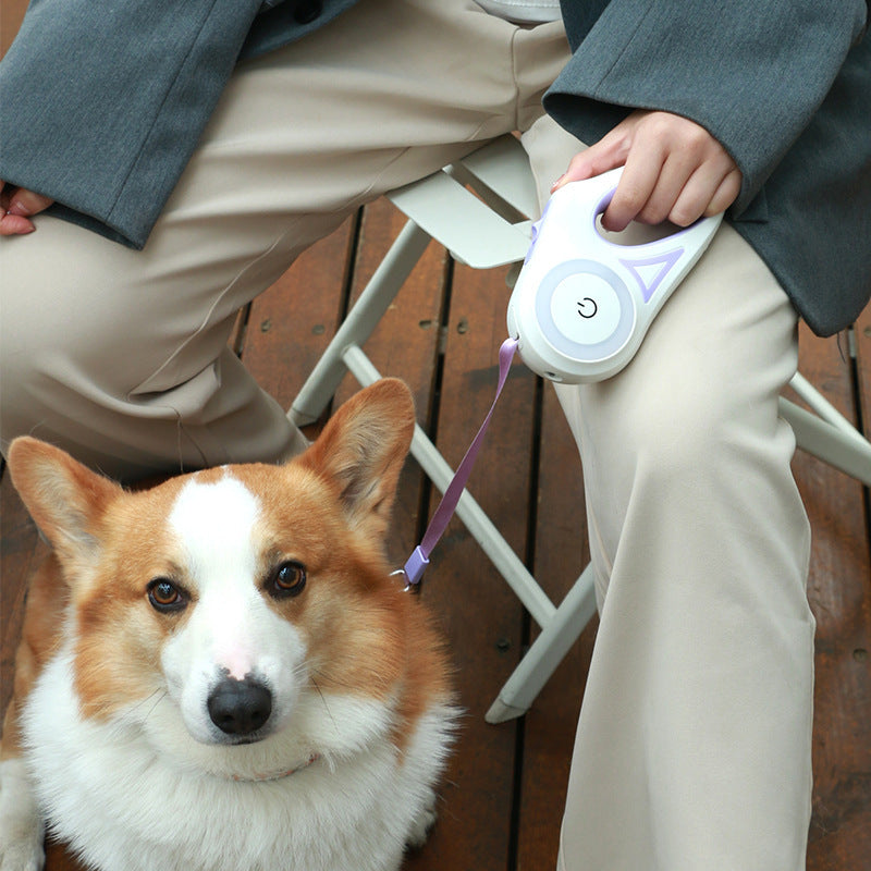 Dog Leash Retractable Leash And Dog Collar Spotlight Automatic Pet Dog Cat Traction Rope For Small Medium Dogs Pet Product Jes Mart